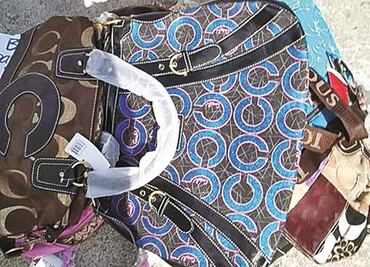 SAE subasta lote de bolsas de lujo... piratas