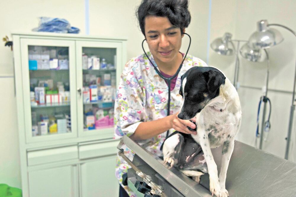 Foto: El Universal, archivo