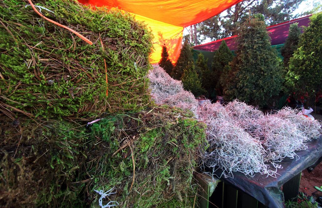 La venta de musgo o paxtle es común en todos los mercados. FOTOS: Omar Contreras