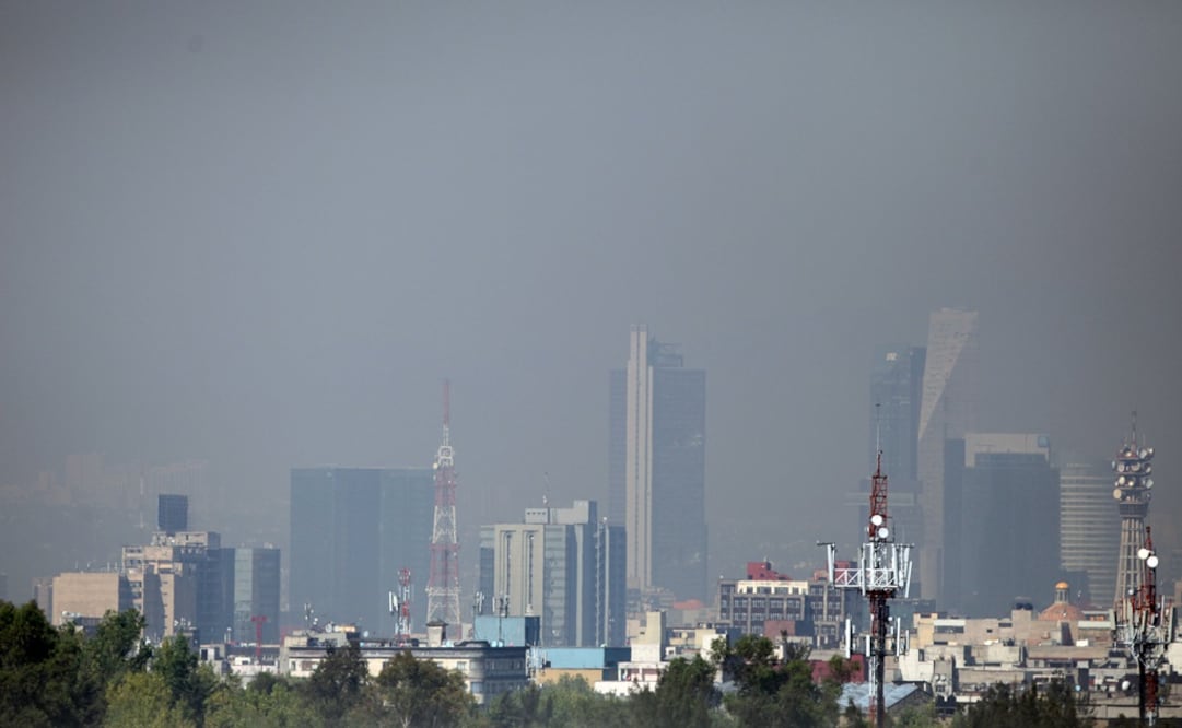 Foto: Lucía Godínez/ EL UNIVERSAL