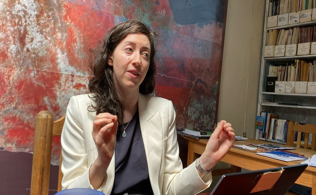 En México se “ha alentado” la inversión sin importar los impactos en la salud, advierte Fran Bernhardt. Foto: Especial