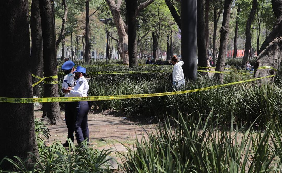 Foto: Fernanda Rojas. EL UNIVERSAL