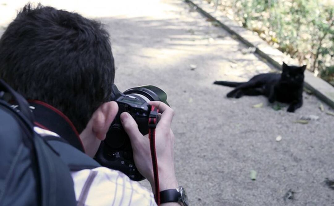 TikTok. Foto: Pixabay