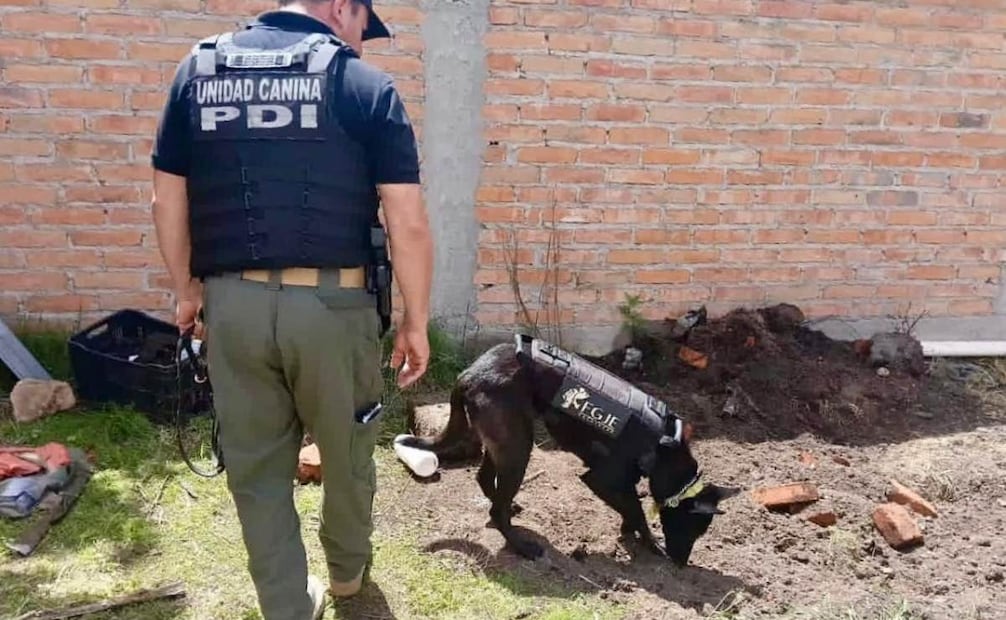 Hallan cuatro osamentas en rancho de Jerez en Zacatecas; analizan restos para identificarlos.
Foto: Especial.
