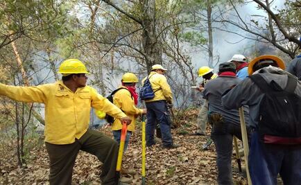 Vientos avivaron incendio en Tepoztlán