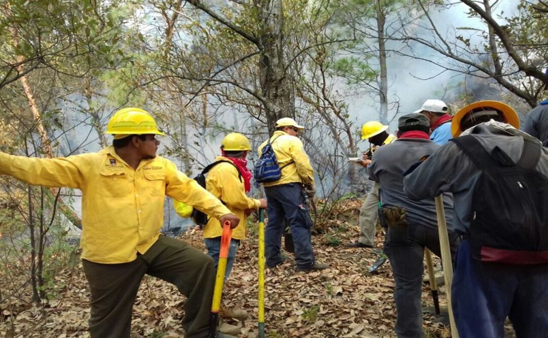 Más de 100 brigadistas combaten el siniestro en el Parque nacional El Tepozteco. Foto: Notimex