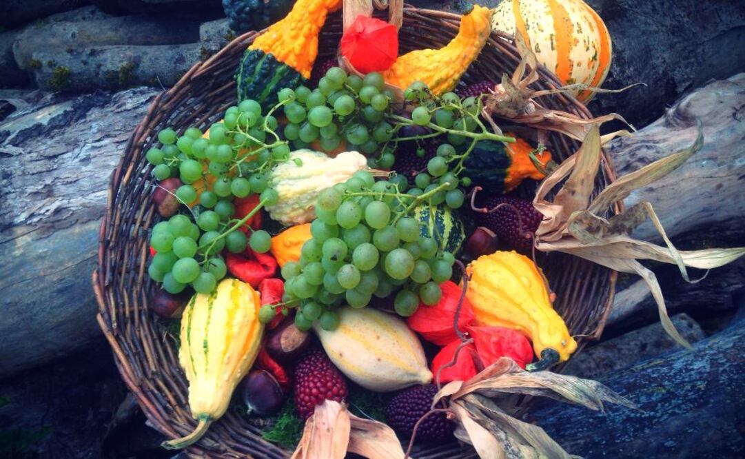 Los alimentos ecológicos se caracterizan por ser cultivados de manera natural sin usar pesticidas que dañen el medio ambiente. (Foto: Pexels)