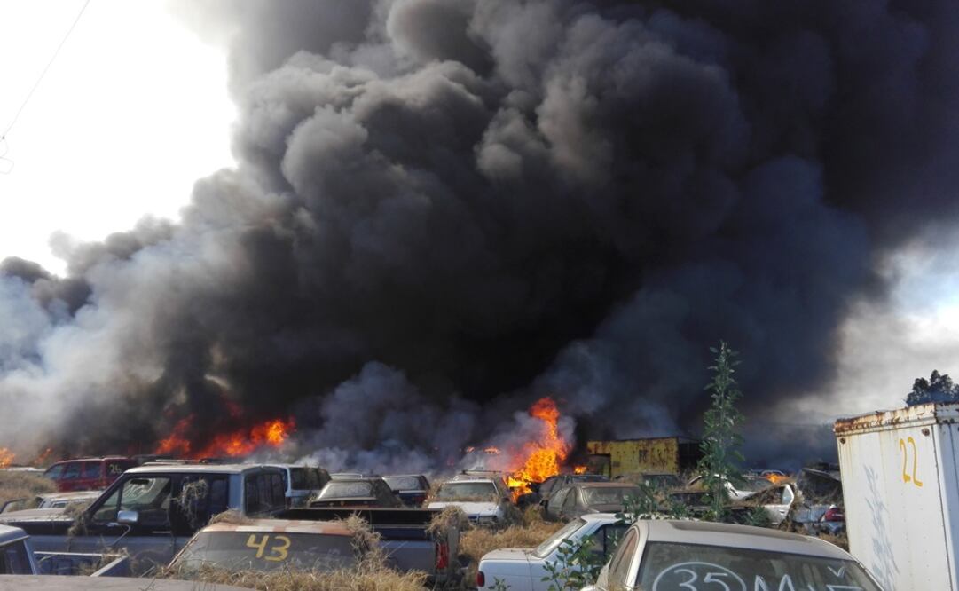 Foto: Armando Solis / EL UNIVERSAL