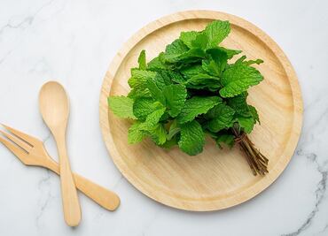Quiénes no deben comer menta