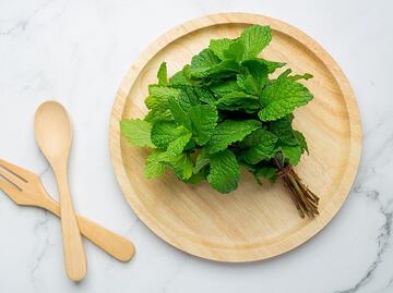 Quiénes no deben comer menta