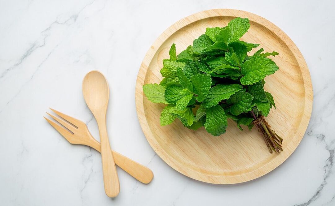 La menta destaca en la gastronomía por su aroma y sabor potente. Foto: Freepik