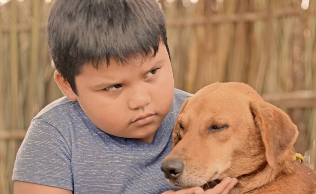 En Monstruo de Xibalba, un niño se interesa por el tema de la muerte. Foto: Cinépolis Distribución, mandarina cine, Pikila Cine, Benuca Films y Piano