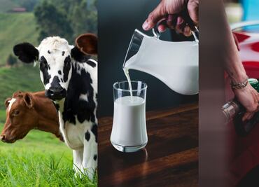 ¿Combustible hecho de leche? Es posible y será producido en EUA