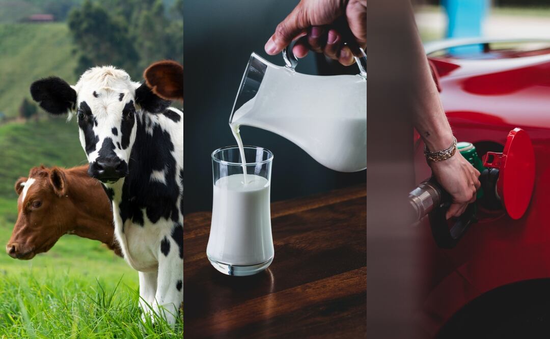 El etanol creado a base de leche será producido en los próximos.