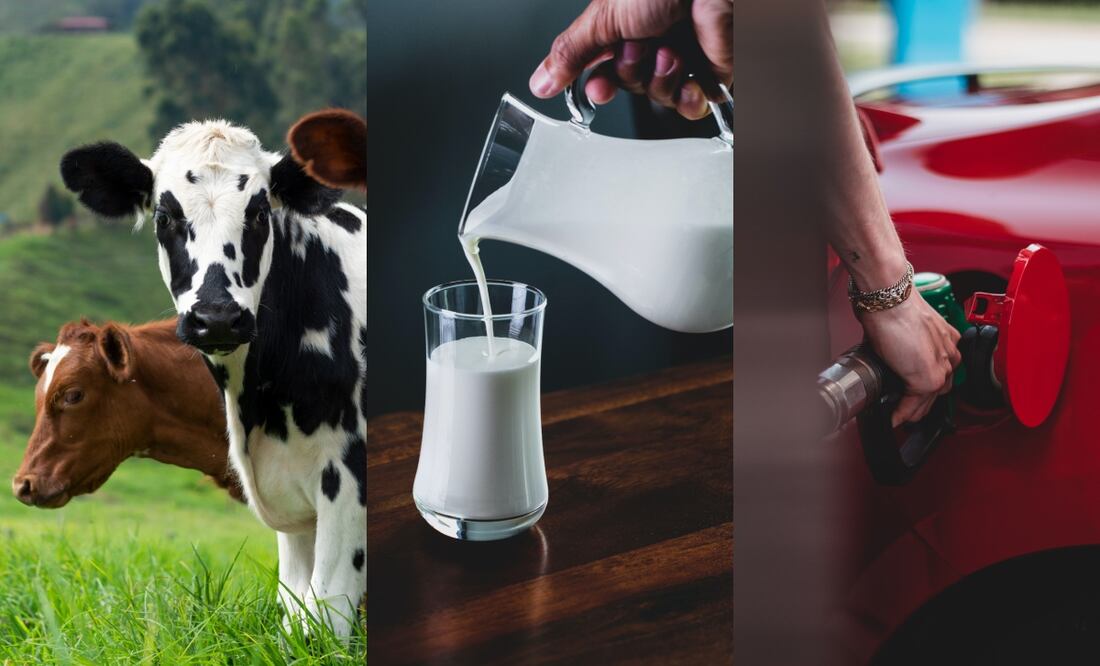 El etanol creado a base de leche será producido en los próximos.