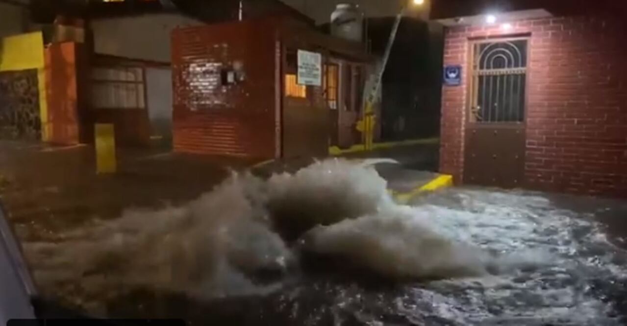 Foto: Tomada de video