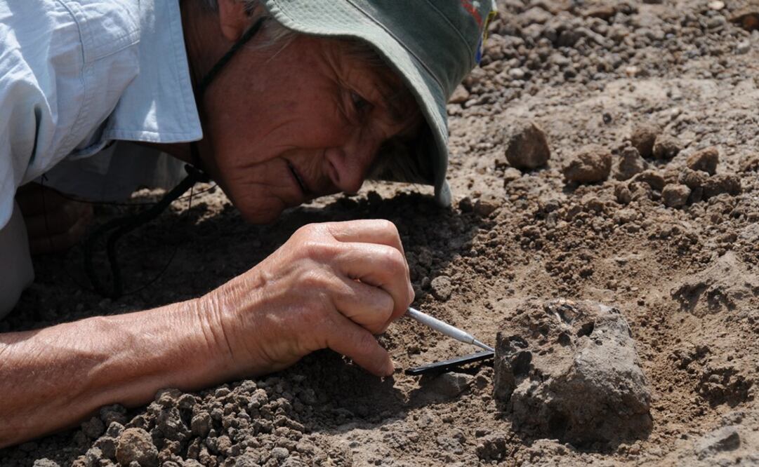 Analizaron casi un centenar de huellas halladas en 2009 en las cercanías de la localidad de Ileret, en Kenia. FOTO: Archivo/ EL UNIVERSAL