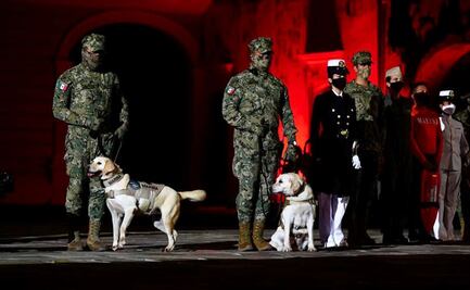 En Bicentenario de la Armada reconocen a "Frida", el perro rescatista del terremoto del 19-S