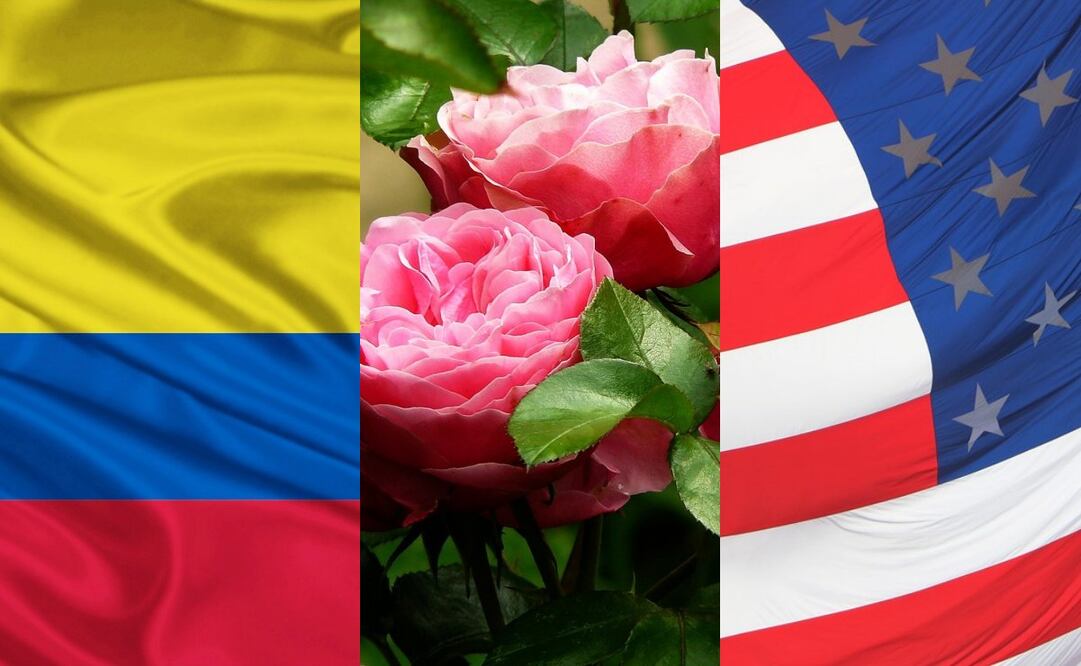 A pocos días de San Valentín, disputa comercial con Colombia amenaza importación de flores en EU (27/01/2025). Foto: Pixabay