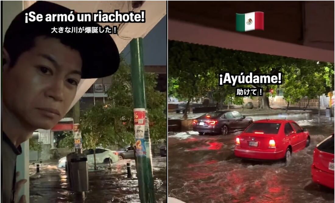 El video ya cuenta con 816 mil reproducciones y más de 143 mil "likes". Foto: TikTok