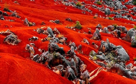 De otro planeta: un minidesierto de dunas rojas cerca de CDMX