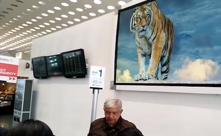 AMLO se topa con el tigre en el AICM
