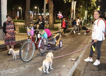 Rodada nocturna primaveral: ¿cuándo, dónde y a qué hora será el Paseo Nocturno “Muévete en Bici”?