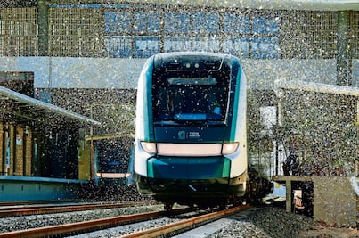 El Tren Maya tendrá recorridos nocturnos para avistar aluxes