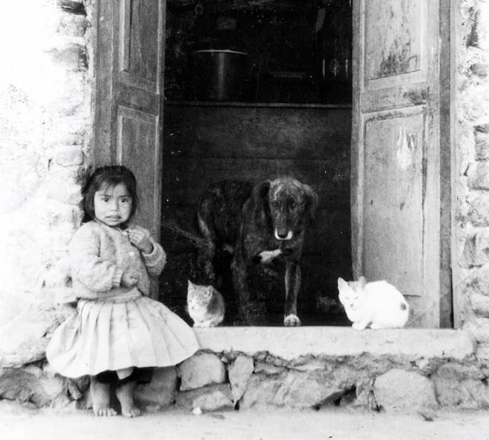 Francisco Castillo Nájera presentó su propuesta de “asexualización de criminales y otros degenerados”, siendo un “medio positivo de defensa social contra el crimen y como factor de alivio económico para el Estado”, pero sobre todo un “recurso de mejoramiento de la raza humana”. Foto: ESPECIAL.