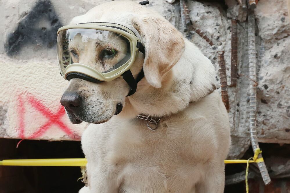 Ariel Ojeda / EL UNIVERSAL