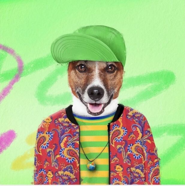 Disfrazan a mascotas de personajes de la cultura pop y se vuelve viral