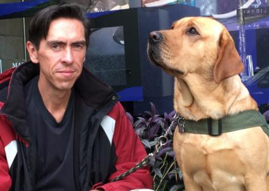 De perros de la calle a héroes