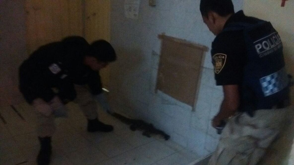 Foto: tomada de @SSP_CDMX