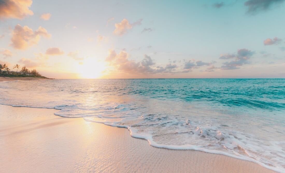 Joven descubrió en la playa una cabeza de maniquí con un escalofriante uso (Fuente unsplash)