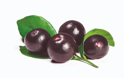 5 beneficios de consumir acai