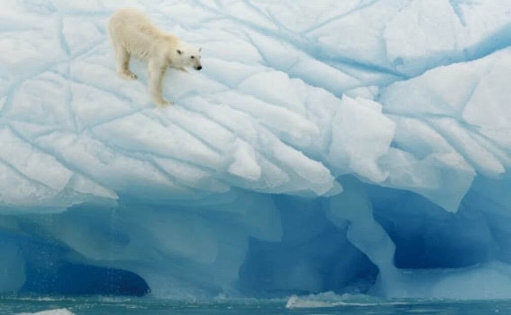 10 cosas que tal vez no sabías sobre el Polo Norte