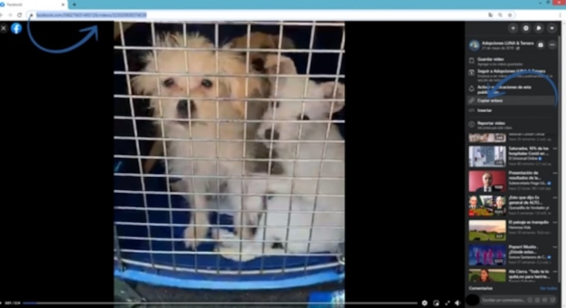 Paso a paso, así puedes descargar un video de Facebook