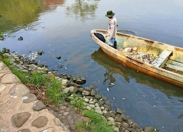 Temperaturas de hasta 45 grados pegan a peces
