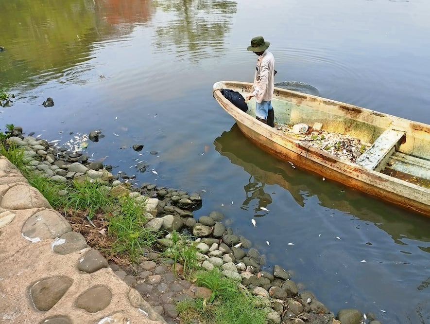 En la laguna de Las Ilusiones, en Villahermosa, se detectó una mancha de peces muertos. Foto: Especial