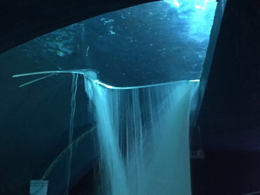 Foto: Gobierno de Sinaloa