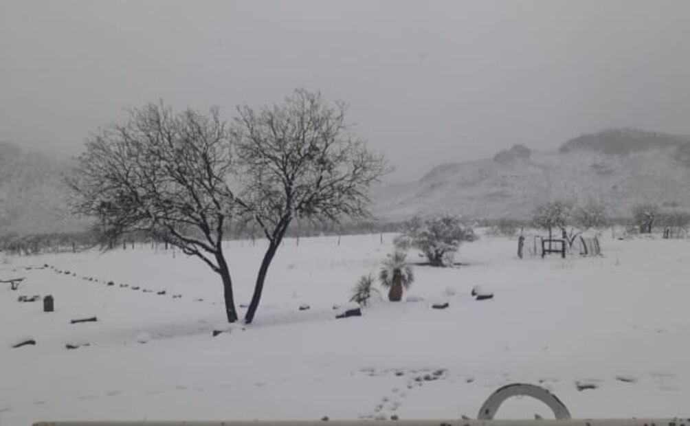 Nevada "pinta de blanco" dos municipios de Coahuila