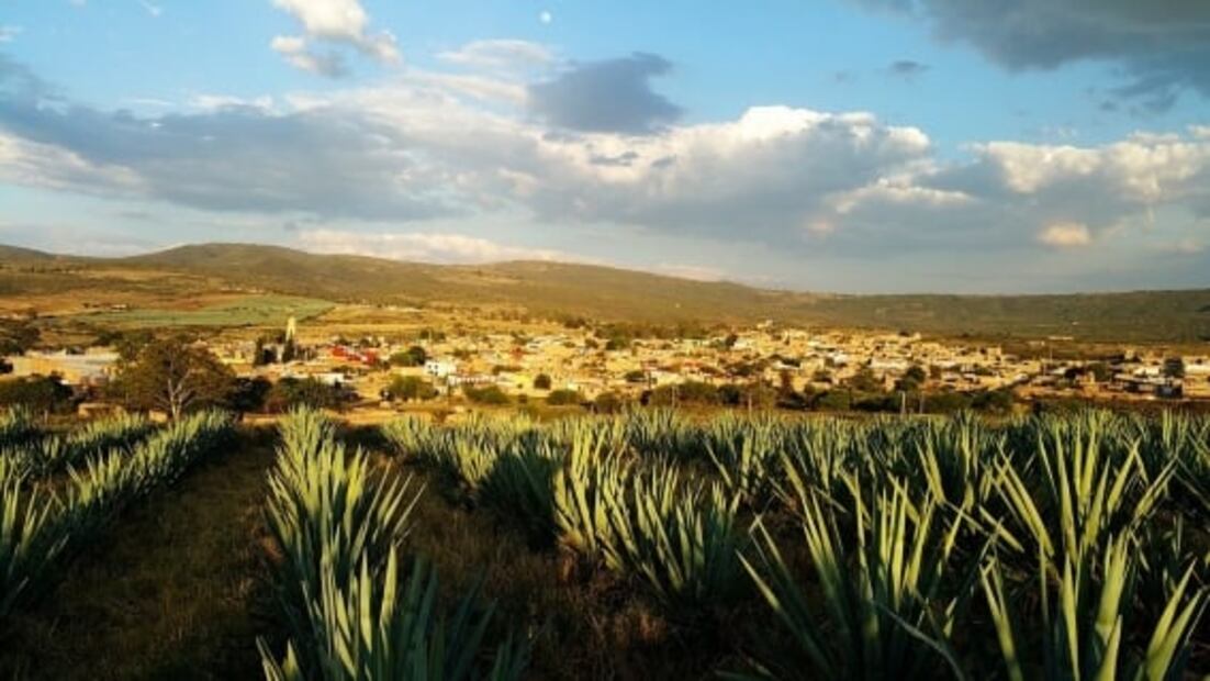 El arte de un buen tequila