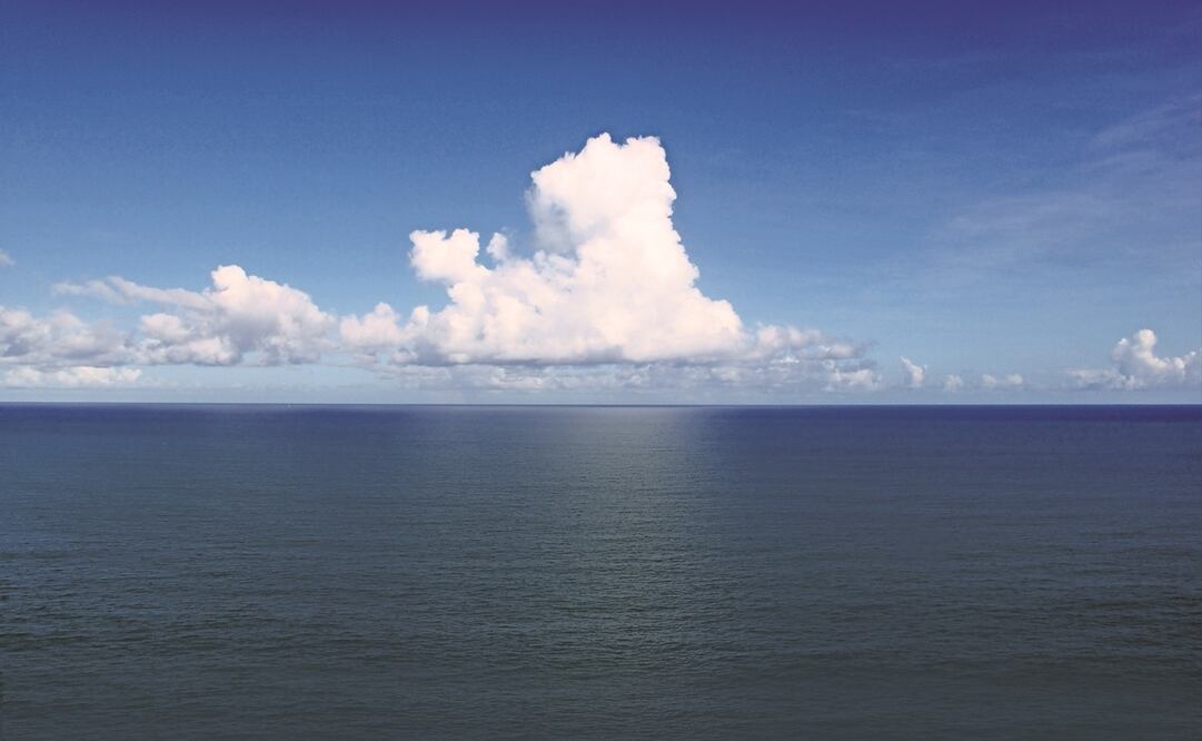 Cada vez hay más olas de calor marinas. Foto: Especial