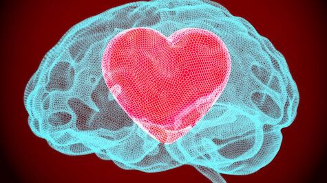 Qué es la 'kisspeptina', la hormona afrodisíaca que despierta el deseo sexual