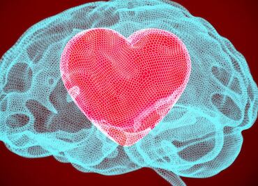 Qué es la 'kisspeptina', la hormona afrodisíaca que despierta el deseo sexual