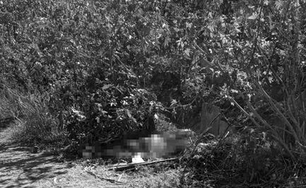 Hallan cuerpo de una mujer en sembradíos de Tultepec, Edomex