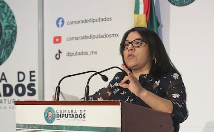 Diputada del PT condena mantas de “narcopolíticos de Oaxaca” por voto contra reforma electoral; acusa intimidación de Morena