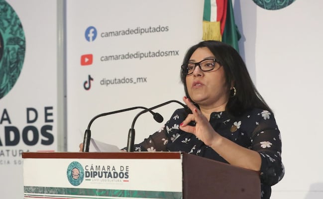 Diputada del PT condena mantas de “narcopolíticos de Oaxaca” por voto contra reforma electoral; acusa intimidación de Morena