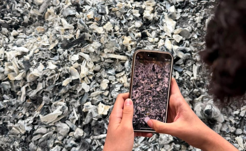 Madres buscadoras hallan presunto crematorio clandestino en Jalisco con aparentes restos humanos calcinados (24/07/2026). Foto: Tomada de X (@CeciPatriciaF)