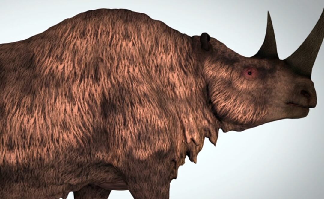 (FOTO: Tomada de Youtube)